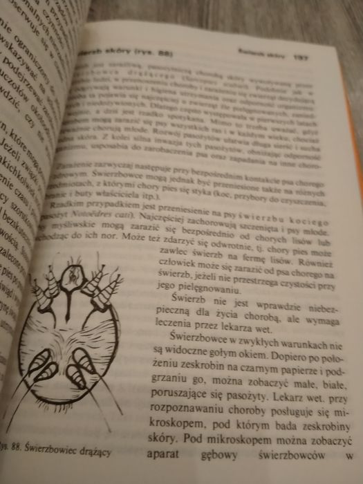 Peter Teichmann Gdy zachoruje pies