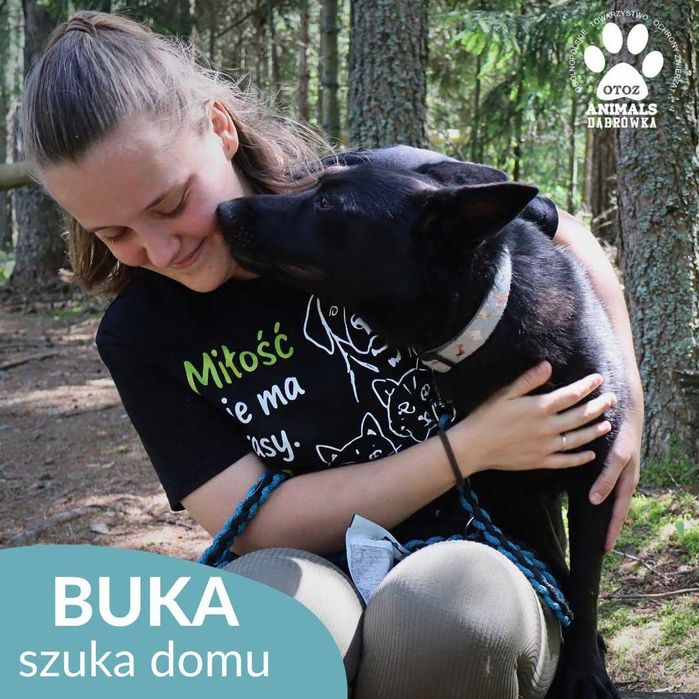 Buka szuka domu !