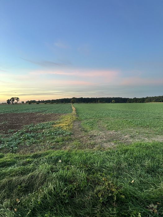 Ziemia Rolna gm. Lubień Kujawski