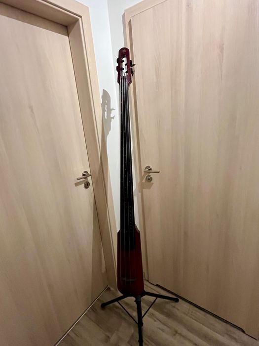 NS Design WAV4c – kontrabas elektryczny