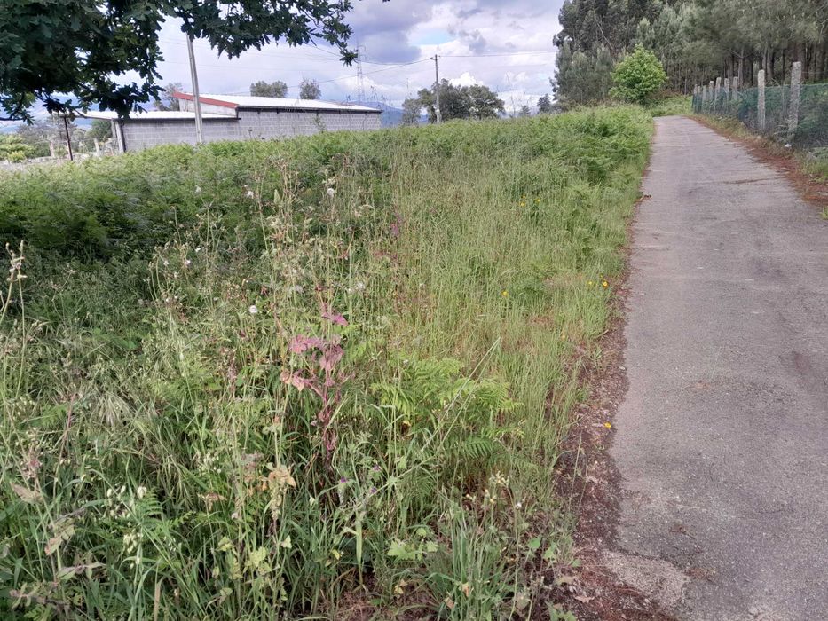 Terreno Construtivo em Zona de excelência