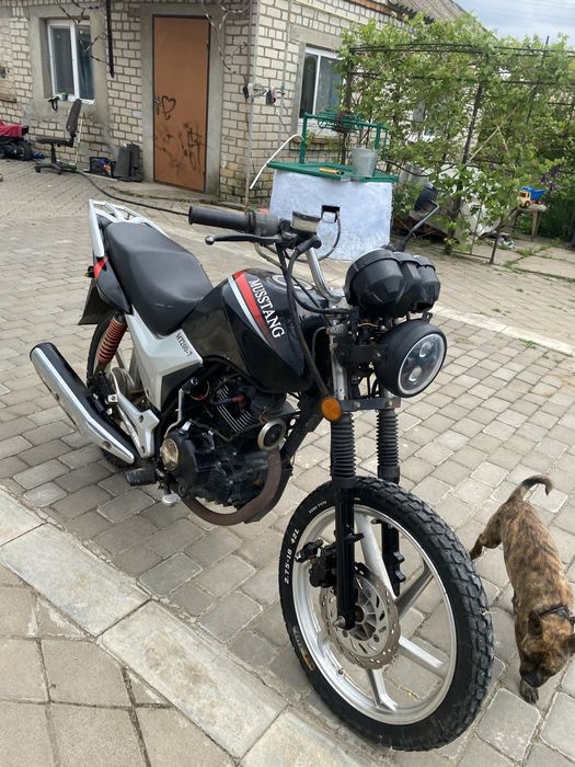 Продам мустанг мт 200-7
