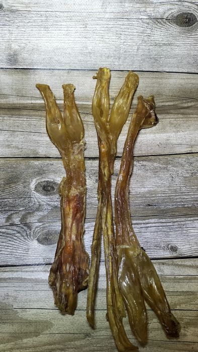 Жила ахілесова( путова)