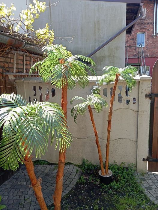 Palma sztuczna do ogrodu domu