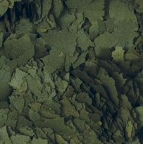 Tropical spirulina forte