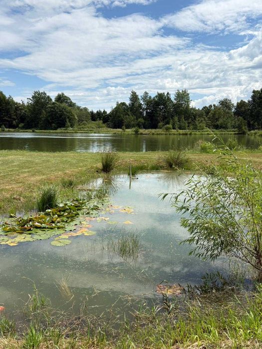 Domek do wynajęcia Wodny Zakątek z jacuzzi i sauną