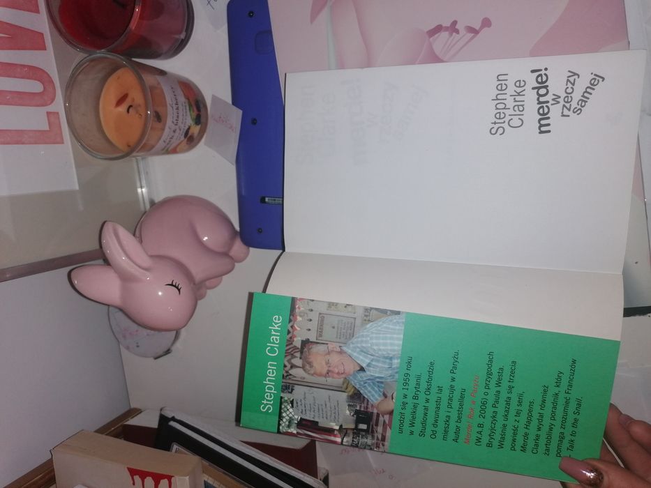 "Merde! W rzeczy samej" książka