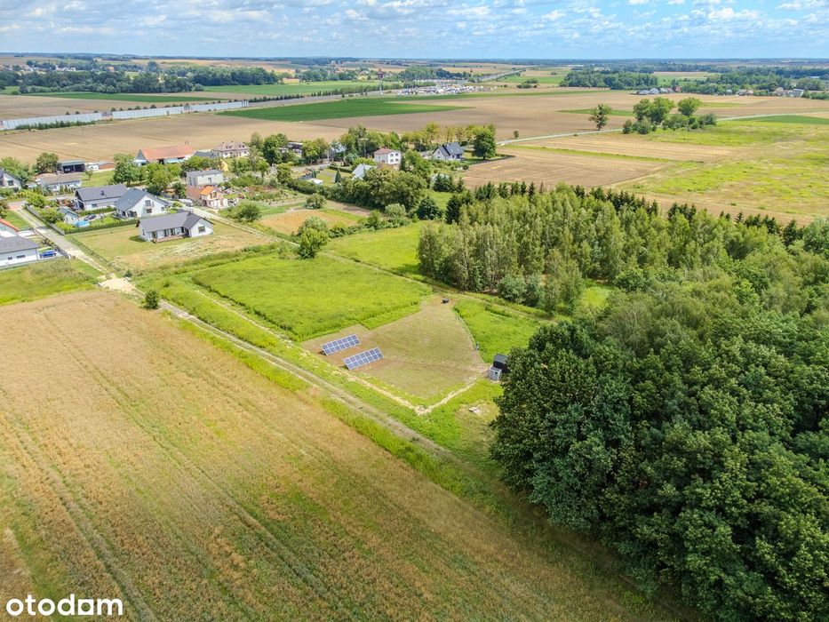 Dwie wyjątkowe działki / 4408 m² / Budziwojowice / gm. Długołęka - Widok 2