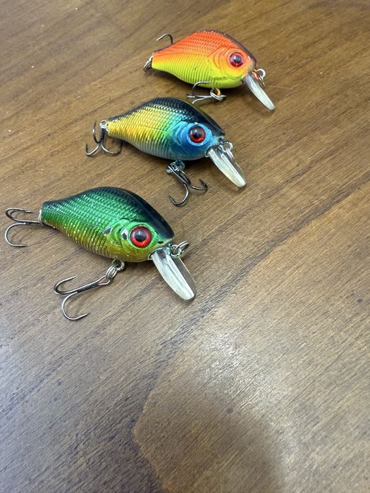 Lote de amostras para pesca