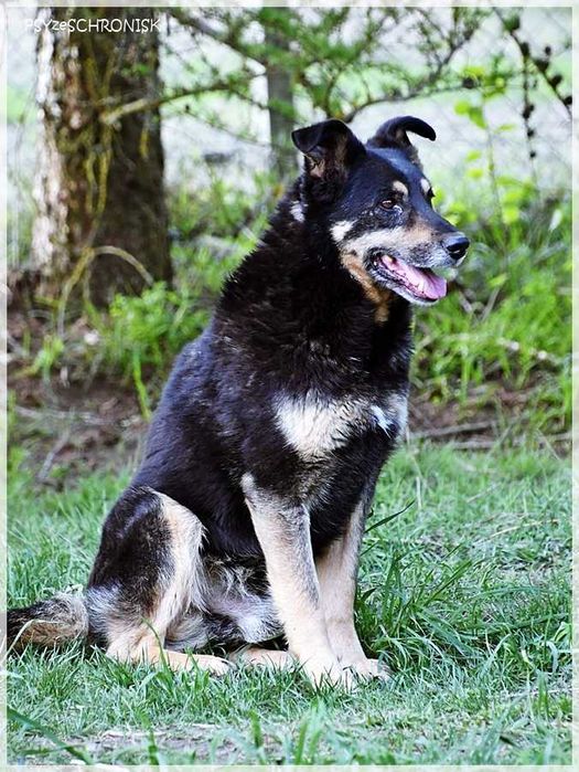 Borys – nie dla niego luksusy, wystarczy kochający opiekun