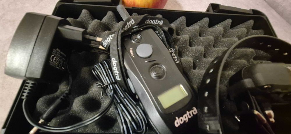 Dogtra, zestaw do treningu psa