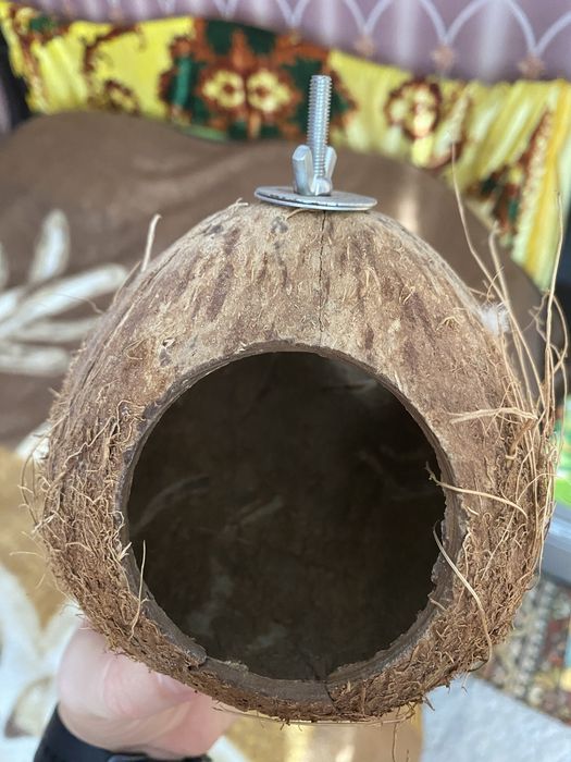 Будиночок із кокосу для папуг/гризунів/акваріуму