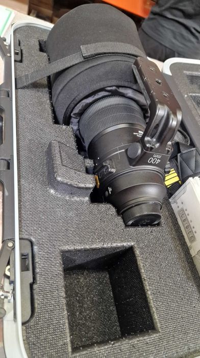AF-S NIKKOR 400mm f/2.8E FL ED VR