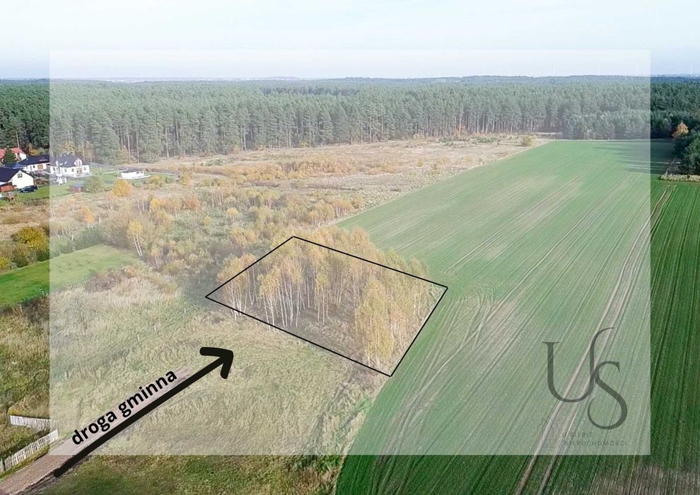 Działka budowlana z zagajnikiem brzozowym, tylko 56 zł/m2 - View 3