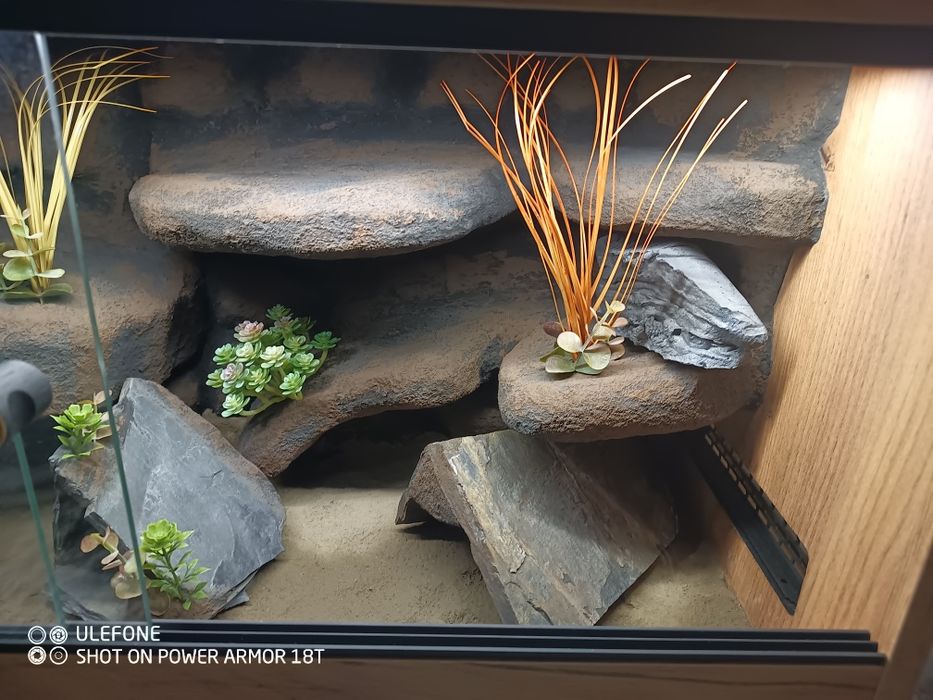 Terrarium 80x40x40