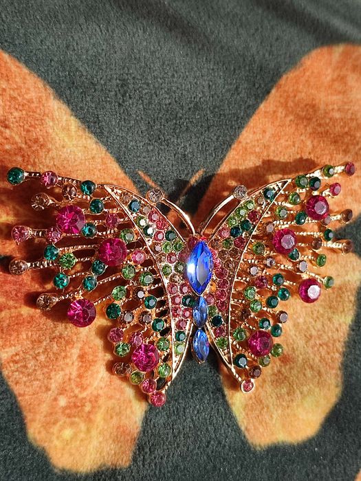 Różnobarwny  motyl