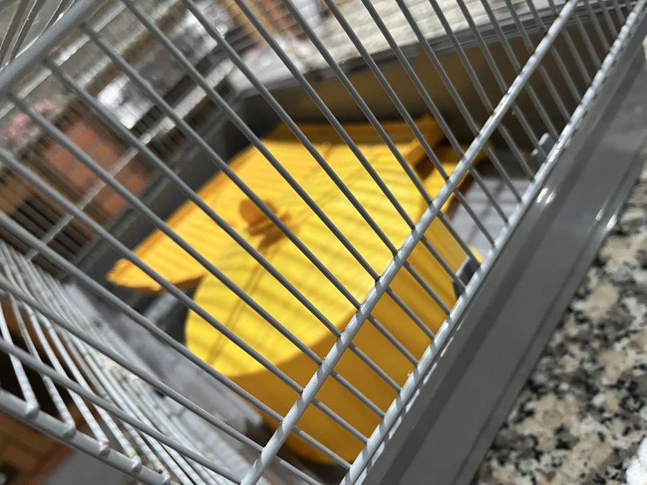 Gaiola para rato ou amster como nova