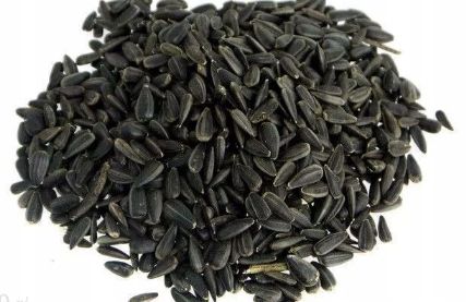 Słonecznik czarny dla gołębi ptaków ziarno zboże karma pasza 1kg