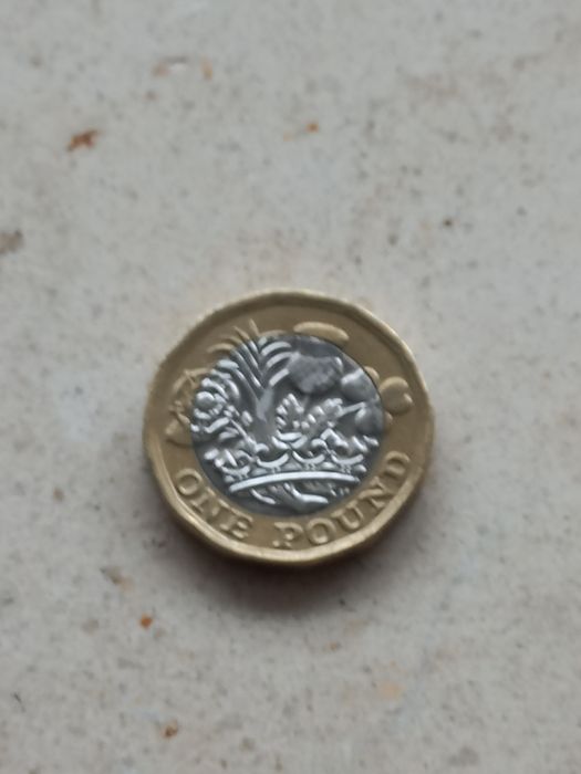 Moeda 1 Pound Elizabeth II D G REG F D 2016