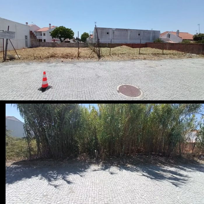 Limpeza de terreno
