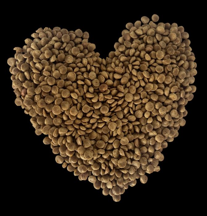 Корм для котів та собак, власного виробництва в Кривому Розі