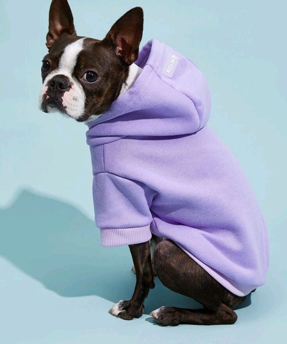 Bluza dla psa M z kapturem