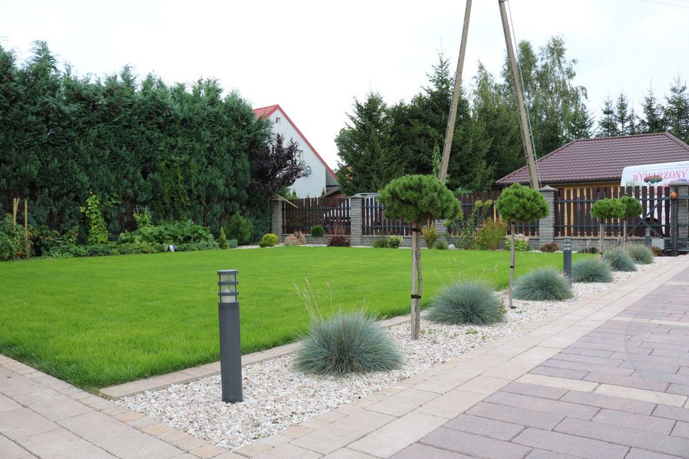 Zakładanie trawników, Pielęgnacja trawników, Wertykulacja i Aeracja