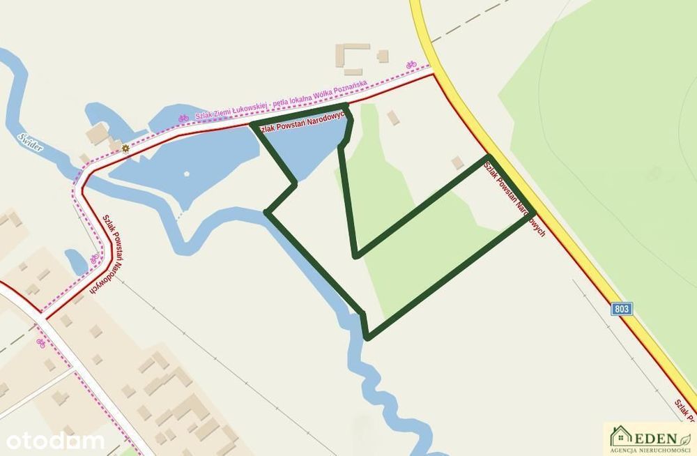 Działki inwestycyjne przy DW803ze stawem Zgórznica - Widok 3