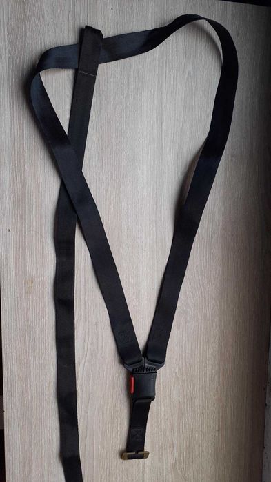 Cintos segurança para ovinho