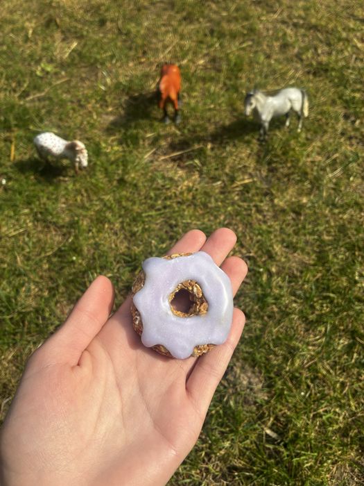 Horse donuts, przysmaki, ciastka z lukrem dla koni