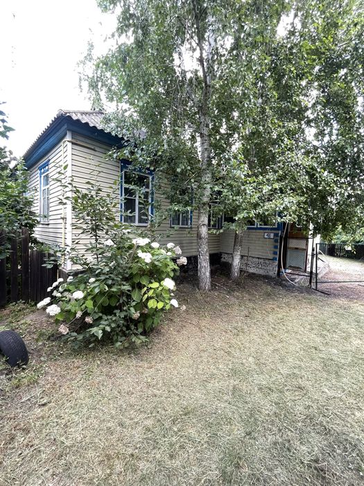 Продаж будинку(с. Ромашки)