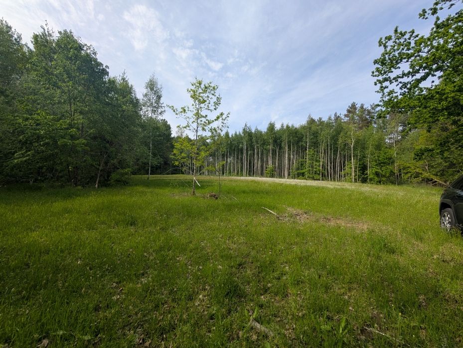 Działka  6500 m² – warunki zabudowy  Patryki