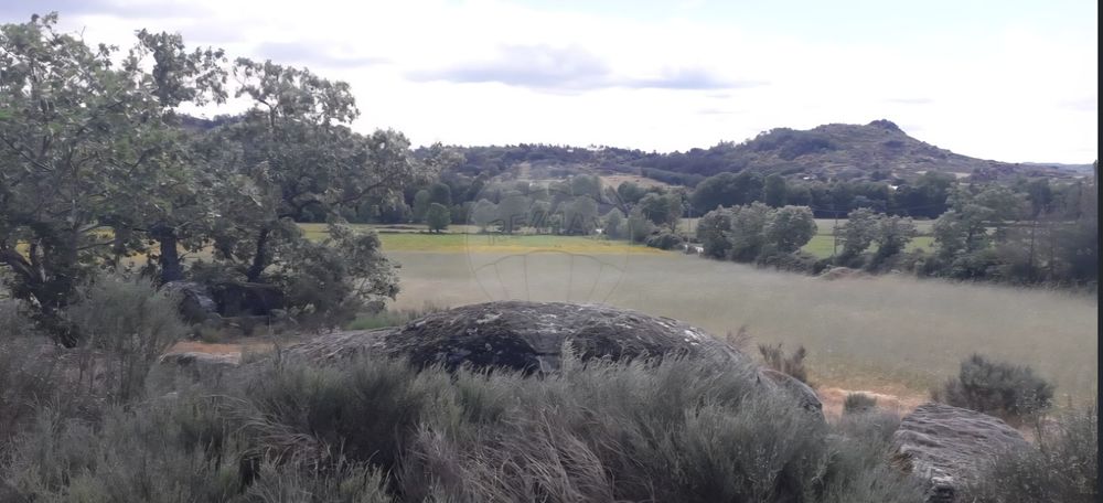 Oportunidade Única Quinta de Sonho com 14,5 Hectares na Histórica Vila