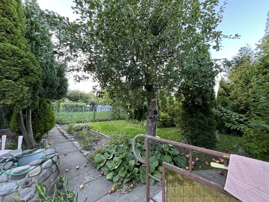 Działka ROD Kapuściska - Widok 3
