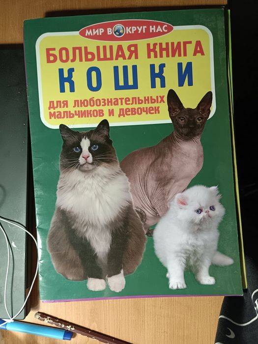 Пізнавальні книжки для дітей