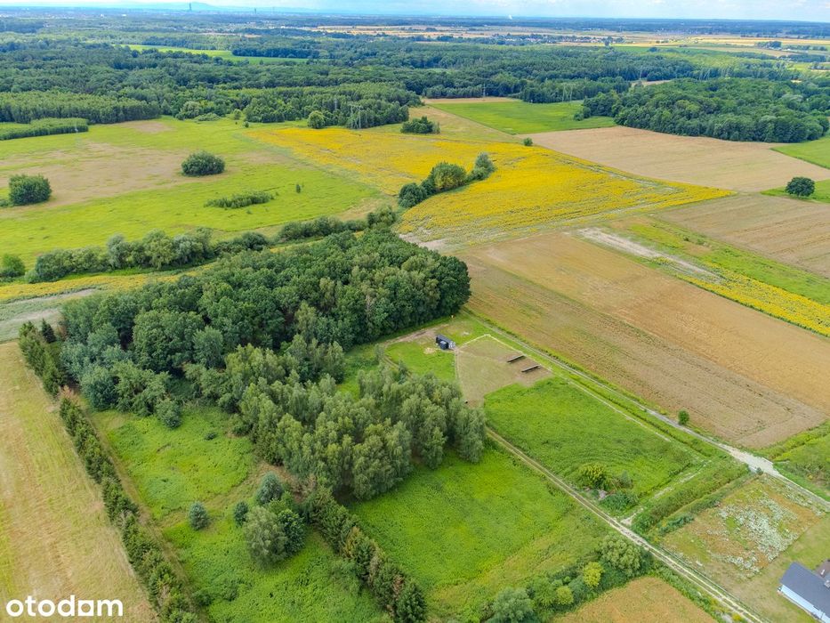 Dwie wyjątkowe działki / 4408 m² / Budziwojowice / gm. Długołęka - Widok 3