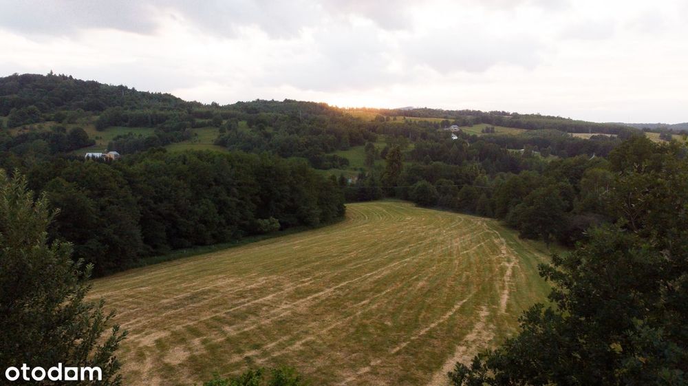 2 działki (0,96+0,46ha) pod wymarzony dom lub agroturystkę, las,  góry