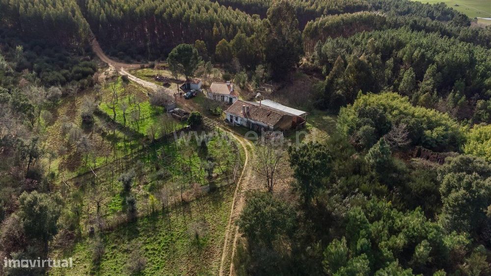 Terreno com ruina / Fundão, Fatela
