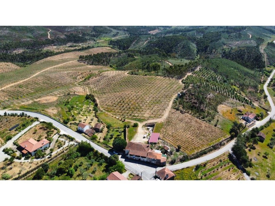 Quinta De 15 Hectares Com Moradia T9 E Olival Produtivo - Oportunid...