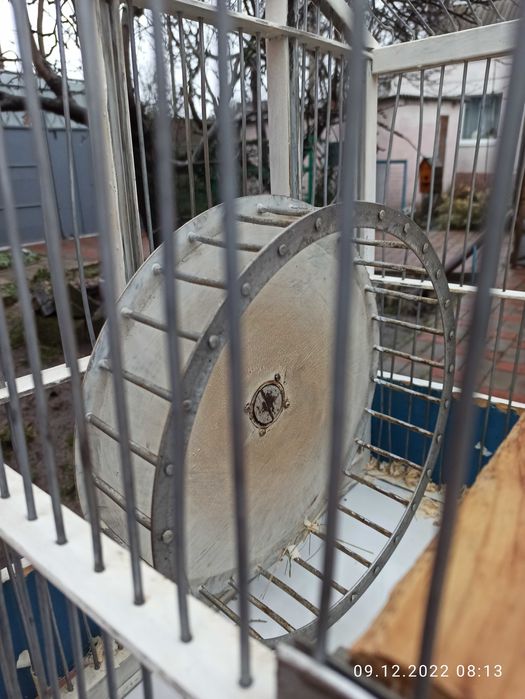 Клітка для гризунів