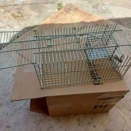 Armadilha para captura ratos, ratazanas e outros roedores.