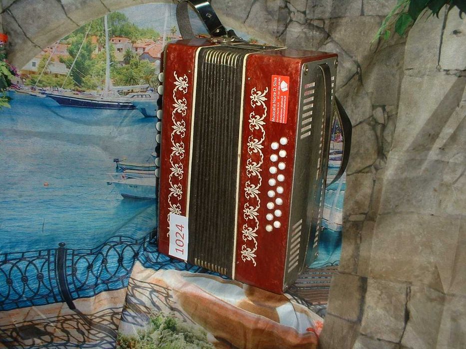 Promoção de Acordeões de concertinas