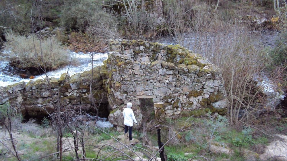 Arrenda-se Quinta Exclusiva 25ha | 1km margem de Rio Mondego