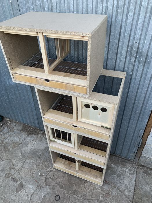 Cela motywacyjna legowa dla gołębi