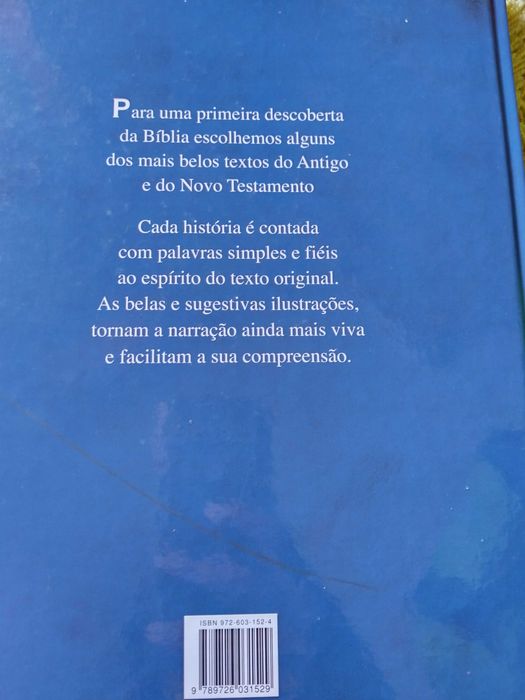 Livro A Bíblia das crianças