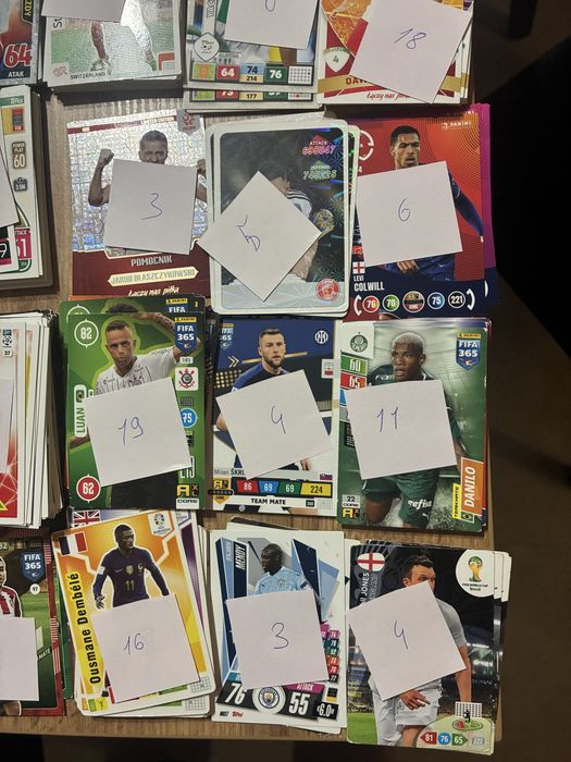 Karty pilkarskie karty kolekcjonerskie panini