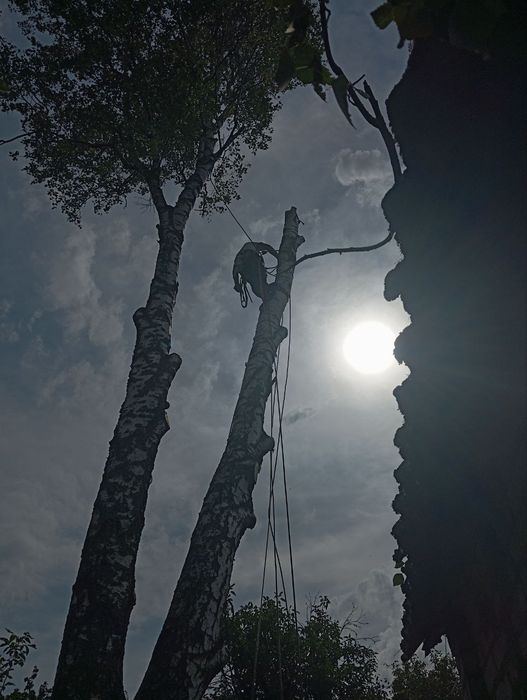 Удаление сложных деревьев. Измельчение веток. Распил на дрова.