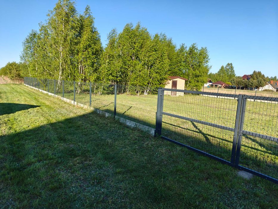 Zdjęcie 3