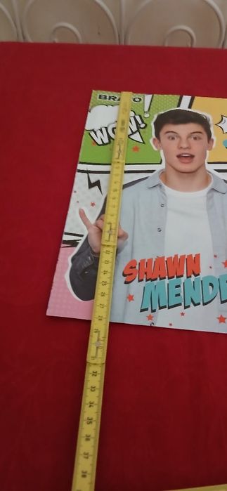Poster Shawn Mendes, novo