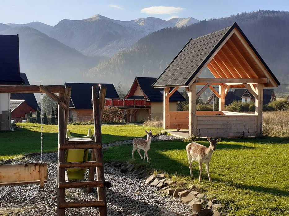 Nowe domki , apartamenty , pokoje Zakopane i okolice 690_453_587